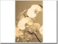 Preview: Glasbild weiße Orchidee