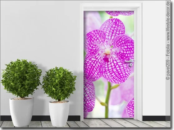 Türposter lila Orchidee