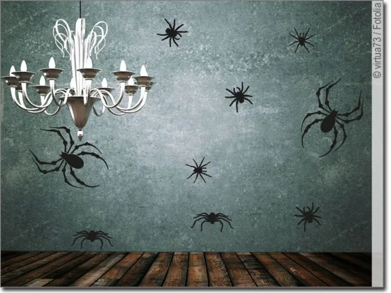 Wandtattoo Set mit Spinnen