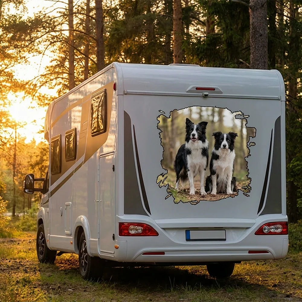 Eigenes Foto für Autos