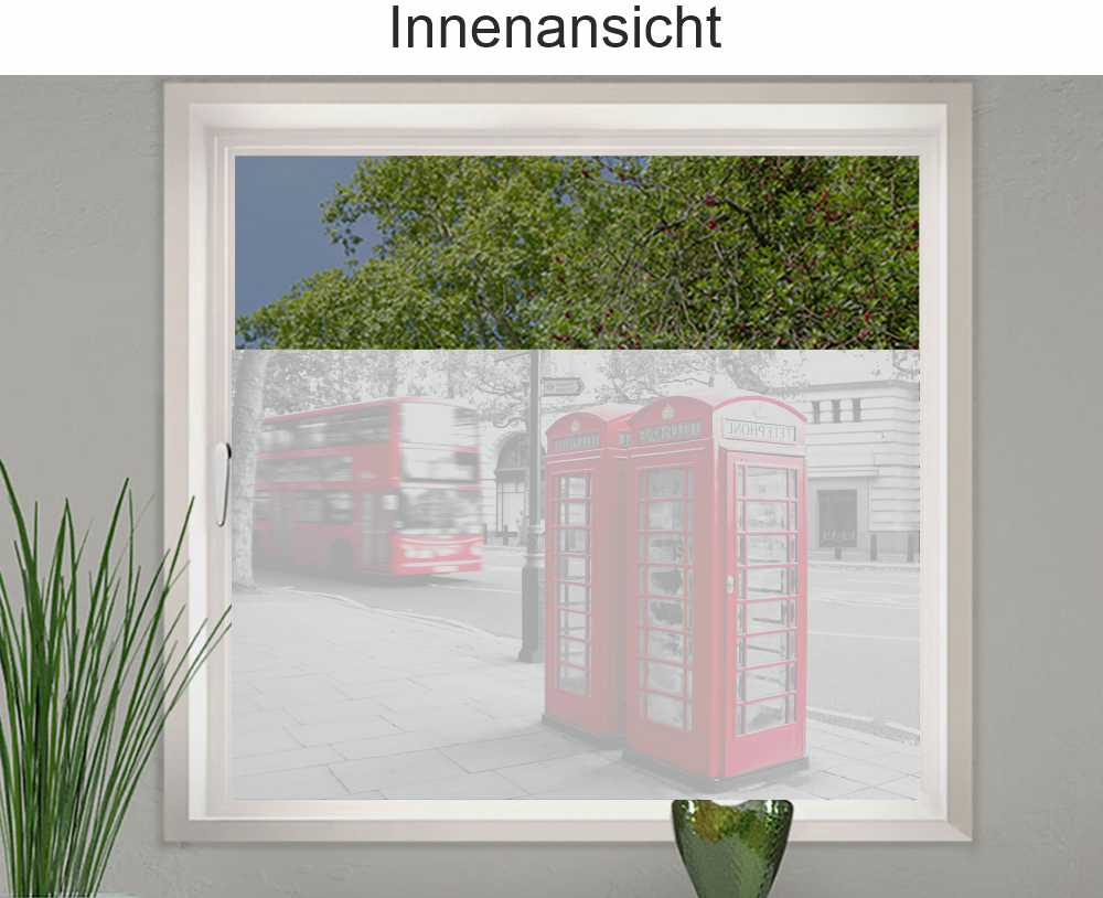 Fragen zum Sichtschutz