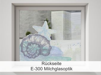Rückseite