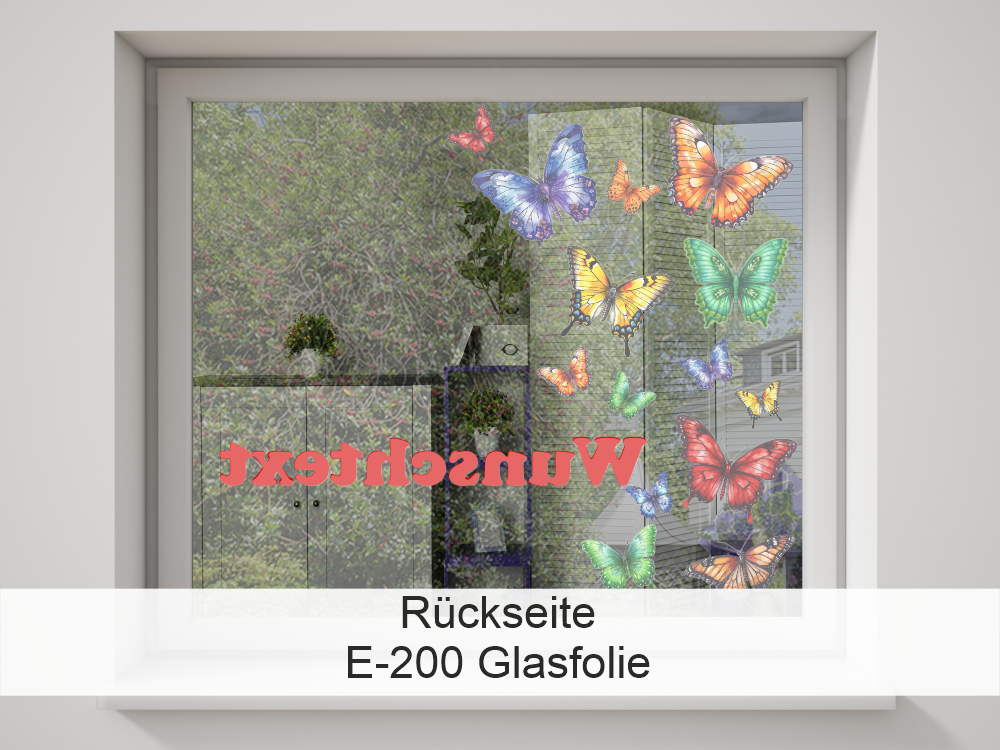 Rückseite