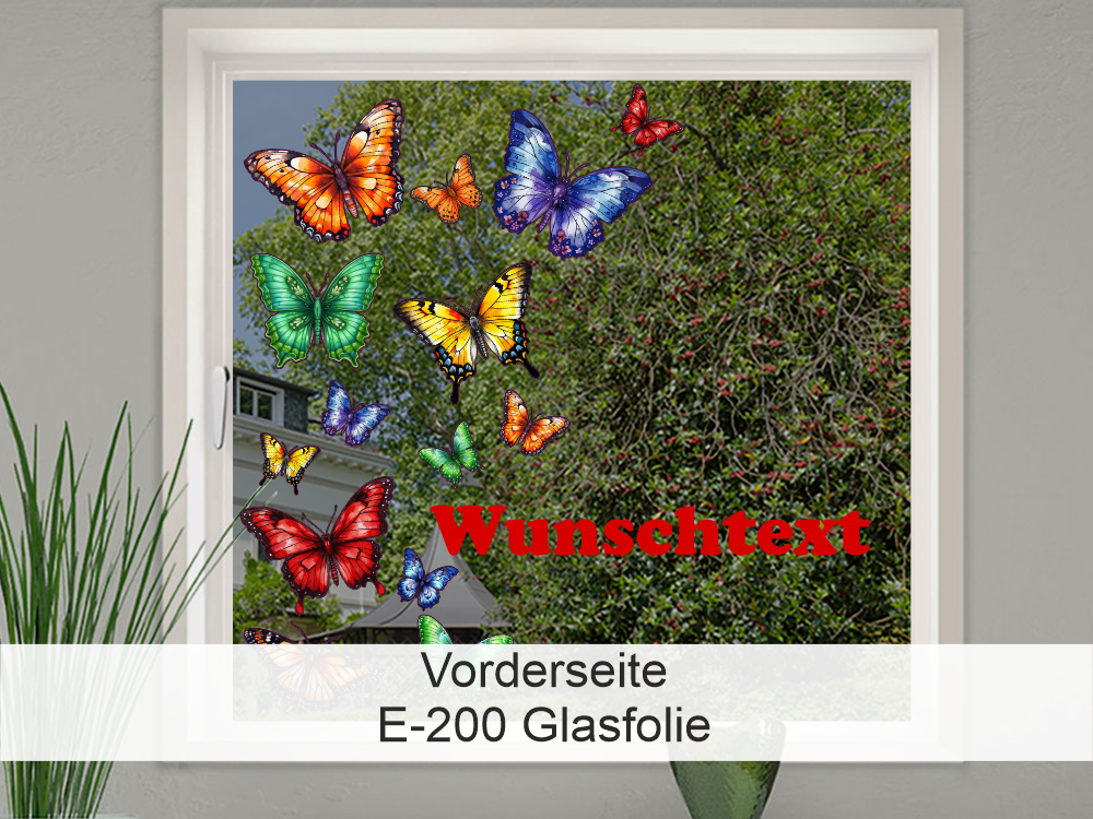Vorderseite