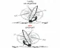 Preview: Autoaufkleber Kompass mit Windsurfer