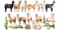 Preview: Wandtattoo Set Alpaka Farm zur freien Anordnung Preview: Wandtattoo Set Alpaka Farm zur freien Anordnung