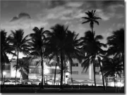Preview: Miami Ocean Drive