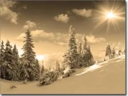 Preview: Landschaft im Winter
