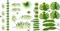 Preview: Aufkleber Dschungel Pflanzen Dekor Set zur individuellen Platzierung