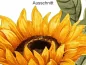 Preview: Aufkleber Sonnenblumen Dekorset