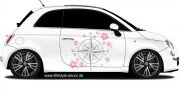 Mobile Preview: Zweifarbiges Autotattoo mit Kompass und Blüten