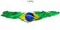 Preview: Autotattoo Fahne von Brasilien