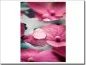 Mobile Preview: Glasbild mit pinken Blüten