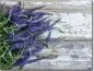 Preview: Glasdruck mit Lavendel