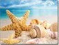 Mobile Preview: bedruckte Klebefolie mit Seestern am Strand