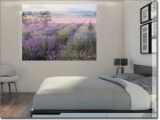Mobile Preview: transparente Fensterfolie Lavendelfeld in der Provence