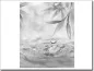 Preview: Glasfoto mit Wassertropfen schwarz-weiß