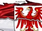 Preview: Autoaufkleber Flagge von Brandenburg - Ansicht Ausschnitt