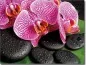 Mobile Preview: Glasbild Orchidee farbig