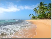 Preview: Sichtschutzfolie Strand Indischer Ozean