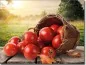 Mobile Preview: Digitaldruck für Glas mit Tomaten im Korb