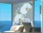 Preview: Fensterbild mit weißer Orchidee