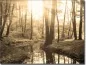 Preview: Glasbild Sonnenaufgang im Wald