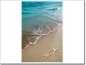 Mobile Preview: Digitaldruck mit Seesternen am Strand für Glas