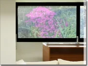 Mobile Preview: Fensterfolie Alpenrose transparent