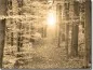 Preview: Glasposter Herbstwald Sepia