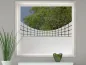 Preview: Milchglasfolie Gewerbe Geometrische Form auf Fenster