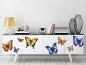 Preview: Möbelaufkleber Farbige Schmetterlinge