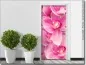 Preview: Türposter mit Orchideen Blüten