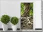 Preview: Türposter eines tropischen Baums mit Wurzeln