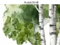 Preview: Wandtattoo Set Birken - Ausschnitt Preview: Wandtattoo Set Birken - Ausschnitt