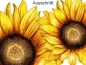 Preview: Wandtattoo Sonnenblumen Set - Ausschnitt