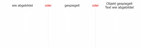 Preview: Autoaufkleber Rennrad mit Freitext