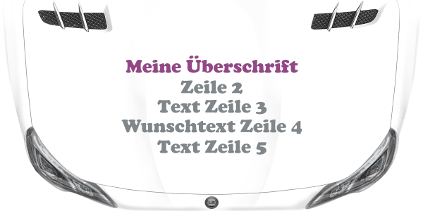 Preview: Fahrzeugbeschriftung Textblock | 21 auf Motorhaube