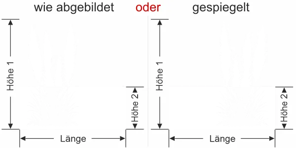 Sichtschutzfolie Amerikanisches Pampasgras