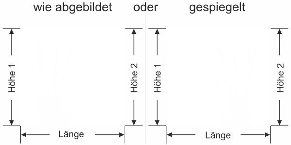 Milchglasfolie Schilfgras mit Kolben