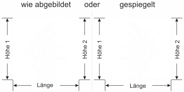 Sichtschutzfolie Goldfruchtpalme