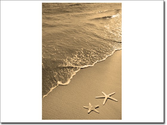 Preview: Fensterbild Seesterne am Strand Preview: Fensterbild Seesterne am Strand