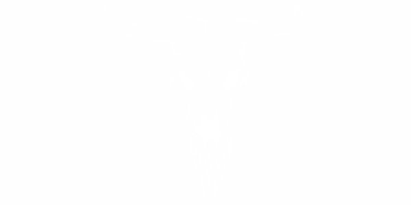 Preview: Autoaufkleber Schädel