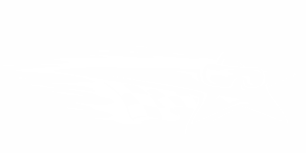 Preview: Aufkleber Sonnenstern