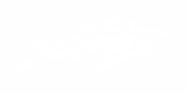 Preview: Aufkleber Speed Flag Preview: Aufkleber Speed Flag