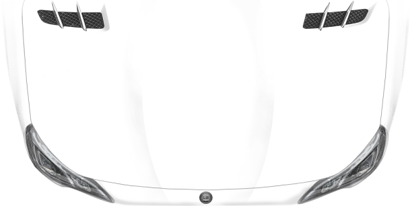 Preview: Auto Vinyl Drache Yanimn