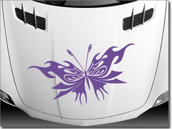 Preview: Autoaufkleber Schmetterling Fire