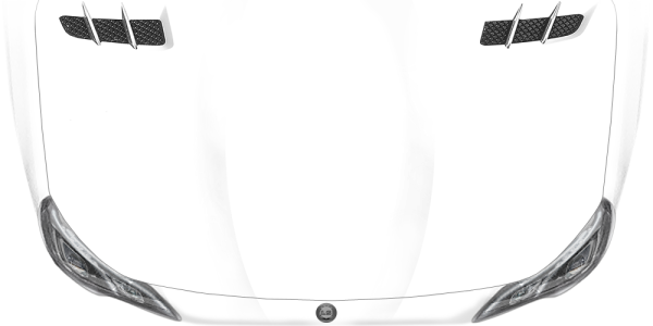 Preview: Autotattoo Brennender Vogel