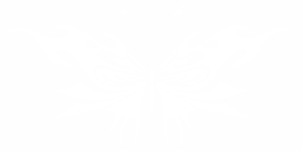 Preview: Autoaufkleber Schmetterling Fire