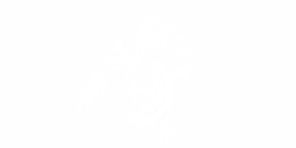 Preview: Autoaufkleber Drache Gigantikos